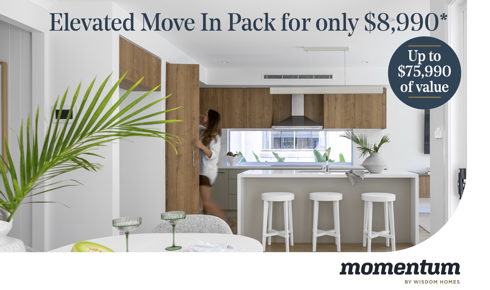 MOMENTUM WEB BANNER